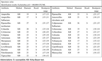 Impact of selective reporting of antimicrobial susceptibility testing report on clinicians’ prescribing behavior of antibiotics